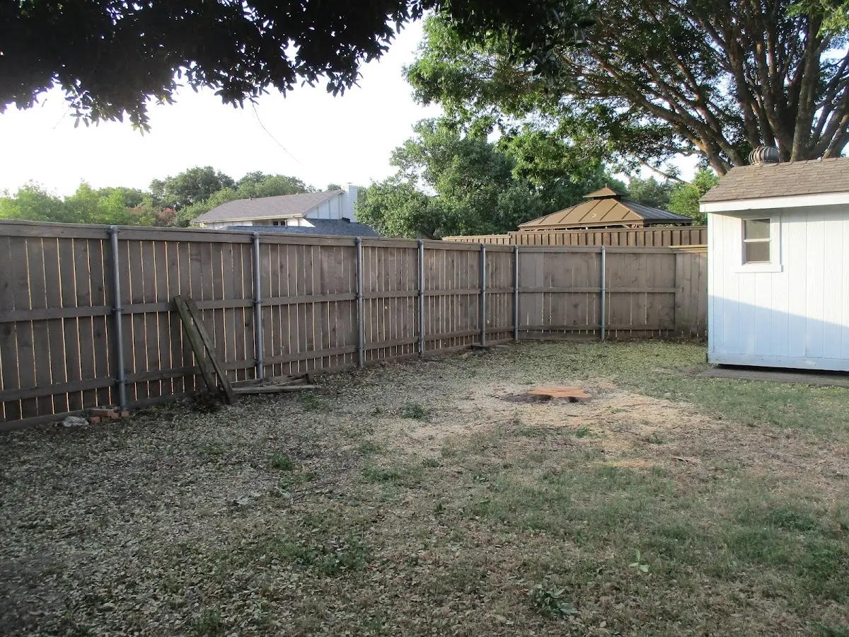 Cleared yard after professional tree removal in Aneth